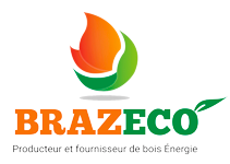 Logo Brazeco